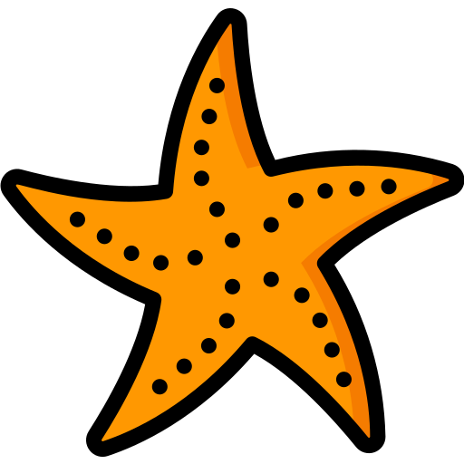 Estrella decorativa
